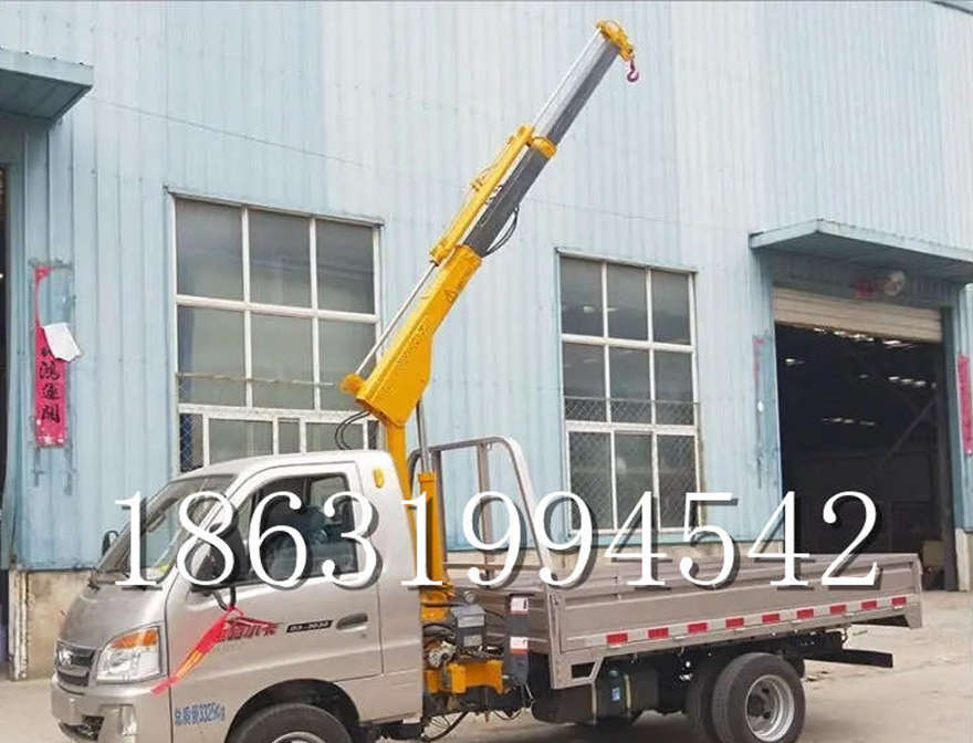 金阳县车载吊机吊水泥搬运小型搬运车载吊机220v移动吊机小型